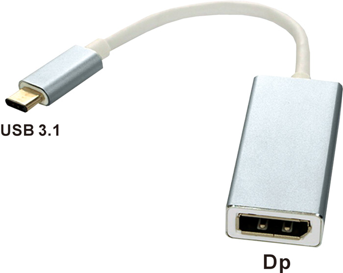 USB 3.1 Type C to Display Port影音轉接器 SR4125	